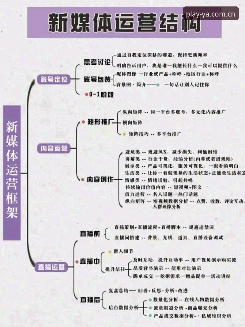 揭秘亚体育直播功能背后的技术架构与用户真实体验
